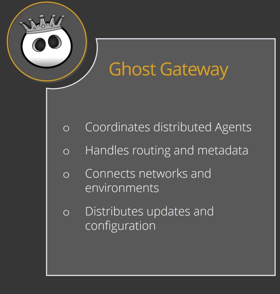 Ghost gateway Ghost Gateway coordinating routing, communication and updates across distributed Ghost Nodes environments